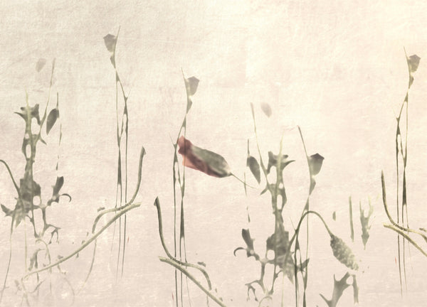 Conversation - B 397cm  H 284cm