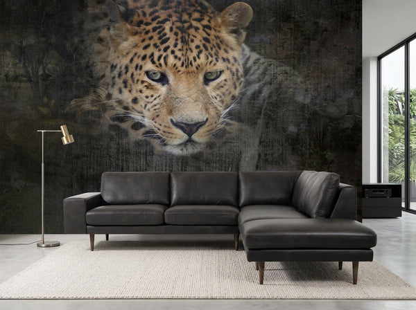 Leo D.C