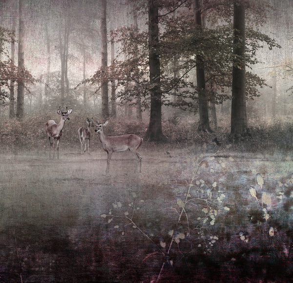 Nature - B 276cm H 261cm