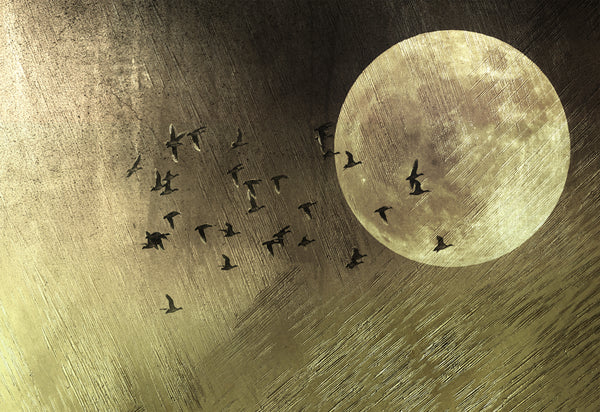 Papermoon - B 387cm H 266cm